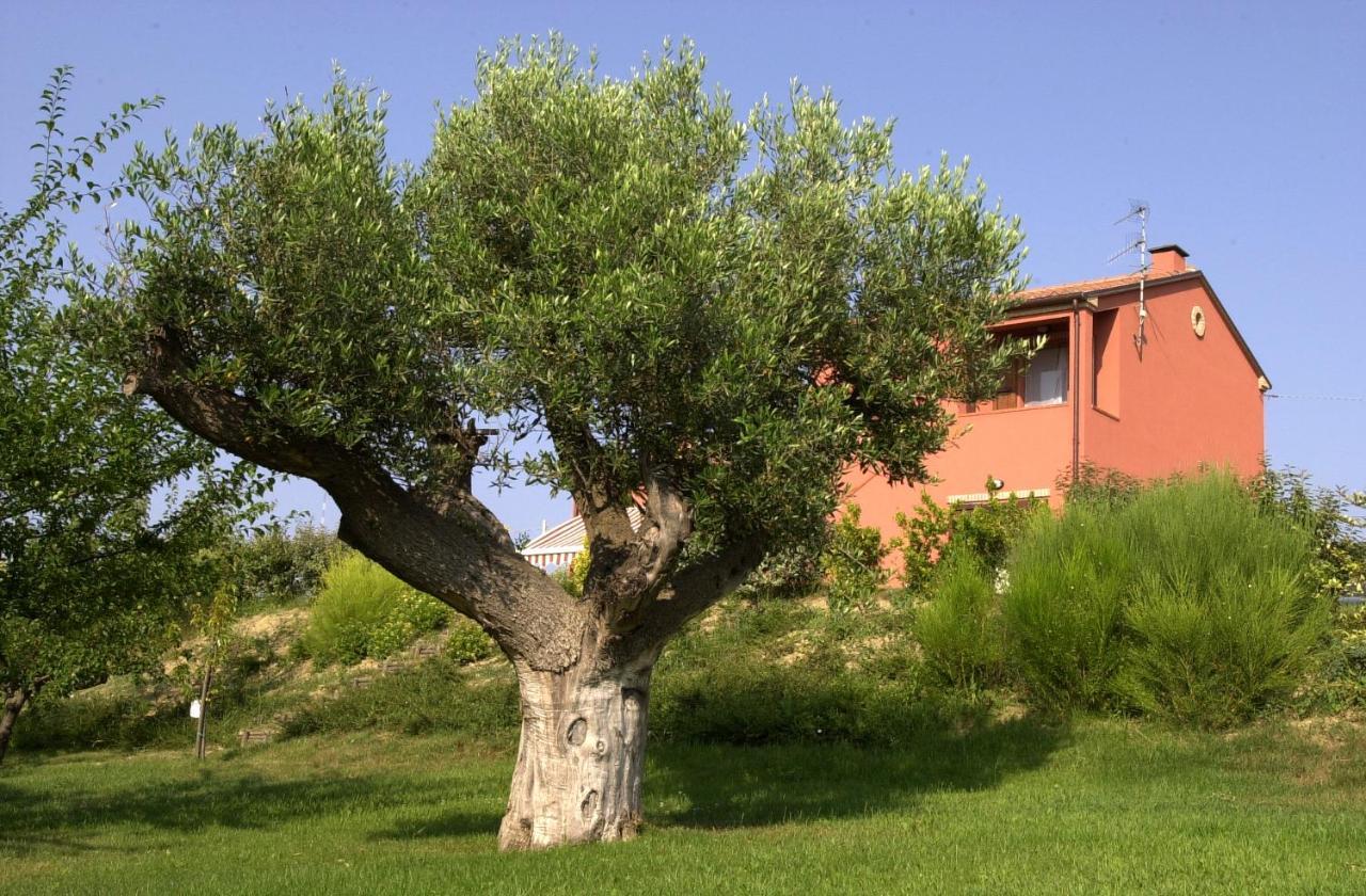 Villa A3Passi Ancona Exterior foto